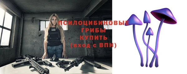 МДПВ Навашино