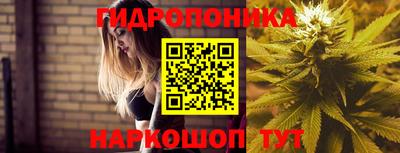 стаф Донецк