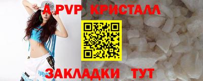 стаф Донецк