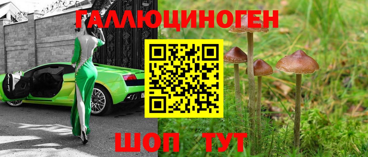 Лысьва  Псилоцибиновые грибы Magic Shrooms  Вход с VPN  Псилоцибиновые грибы Psilocybe 